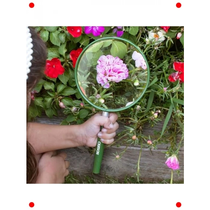 Büyük Mercekli El Büyüteci: 12,7 cm Lens