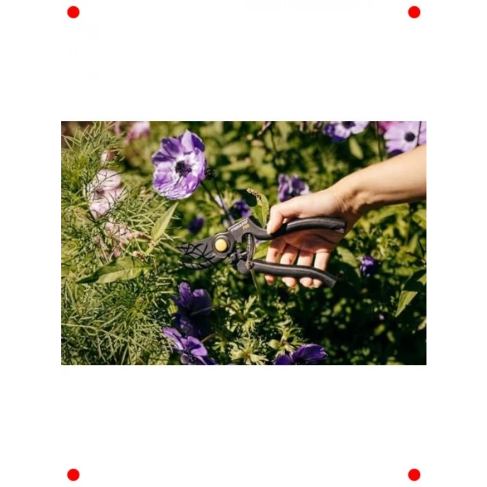 Bypass Budama Makası - 2.6cm Kesim Çapı