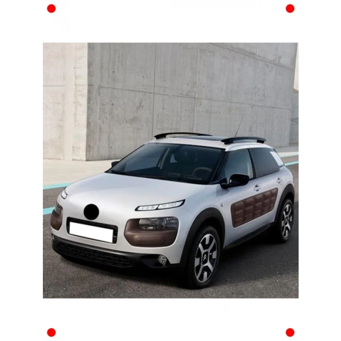 C4 Cactus (2014-2020) Uyumlu Ön Cam Silecek Seti 65-43cm