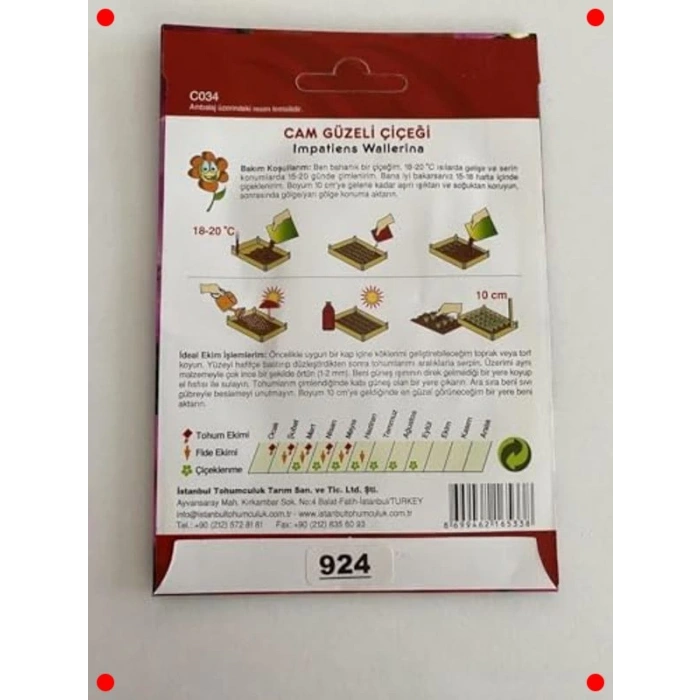 Cam Güzeli Karışık Renk Tohumları - 100 Adet