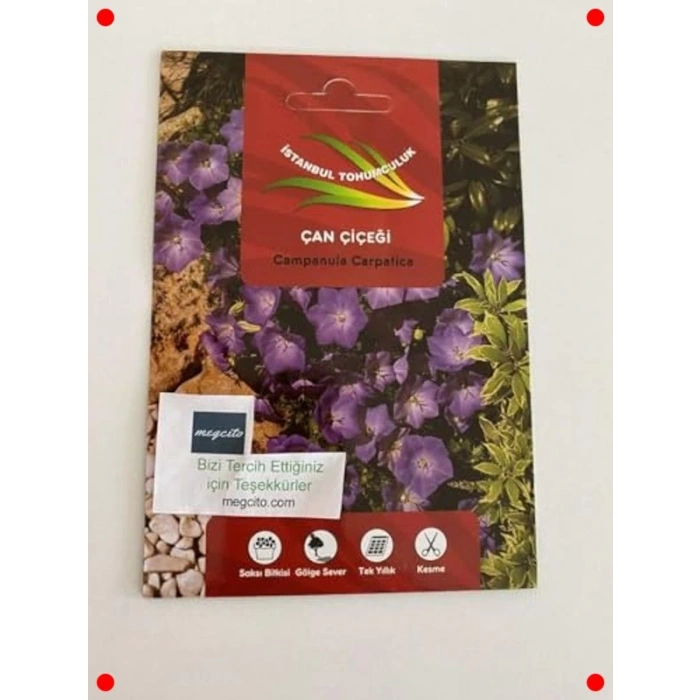 Çan Çiçeği Karışık Renk Tohumları - 500 Adet