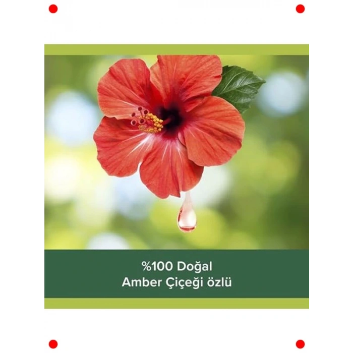 Canlandırıcı Etkili Banyo ve Duş Jeli 500 ml