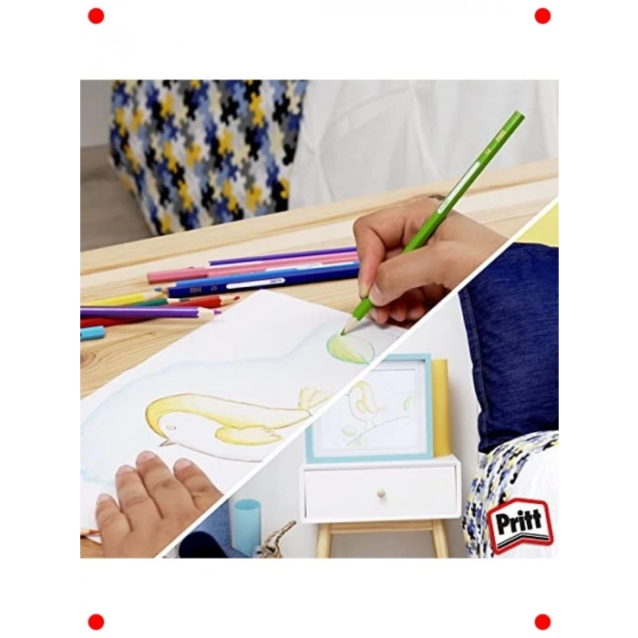 Canlı Renkler Kuru Boya Kalemi Seti - 24lü