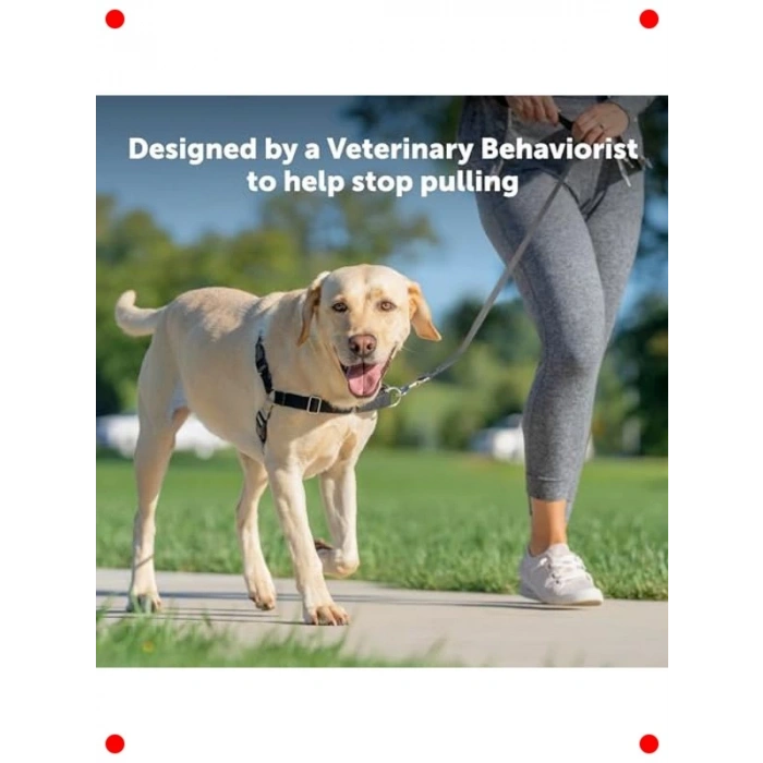 Çekmeyi Önleyen Köpek Koşum Takımı - Rahat Yürüyüş