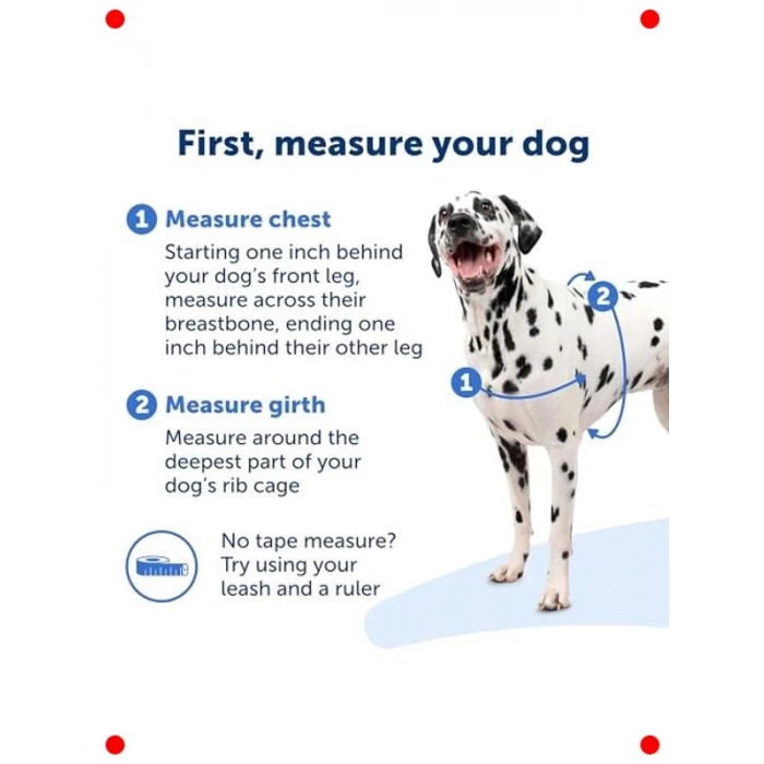 Çekmeyi Önleyen Köpek Koşum Takımı - Rahat Yürüyüş