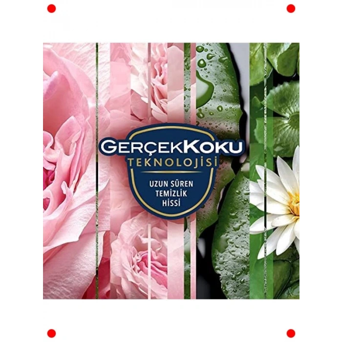 Çiçek Festivali Aerosol Oda Kokusu 300 ml