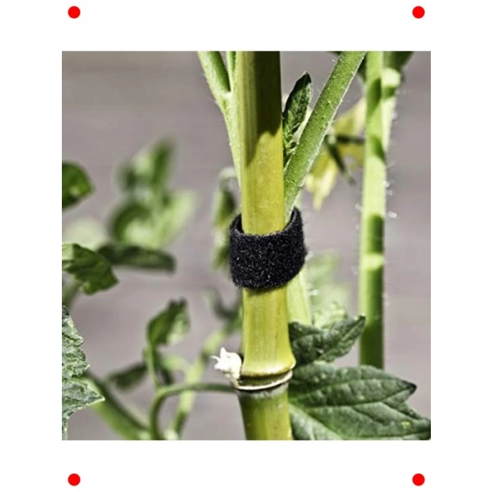 Cırt Cırtlı Bitki Bağlayıcı - 5m x 1.2cm