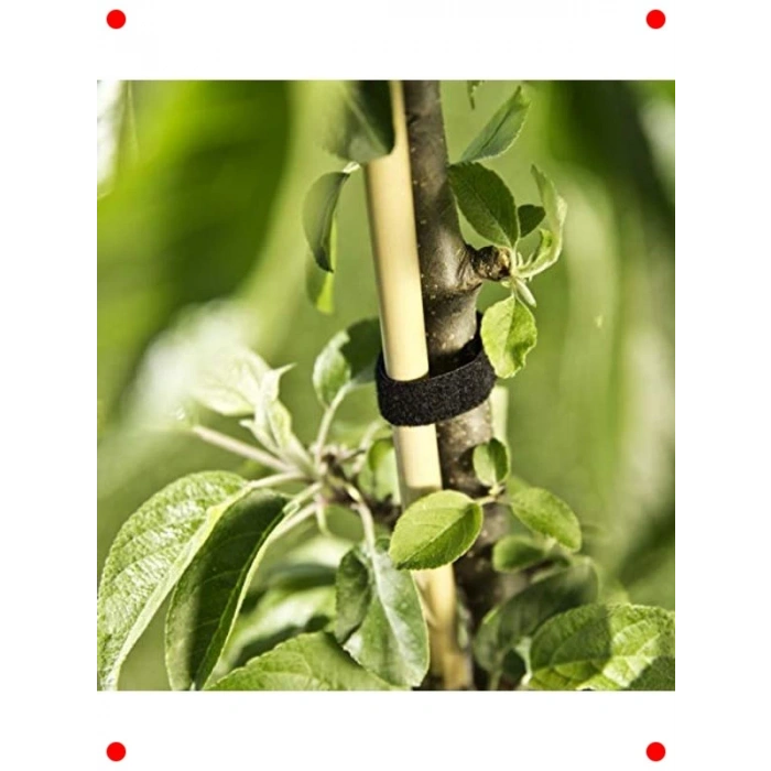 Cırt Cırtlı Bitki Bağlayıcı - 5m x 1.2cm