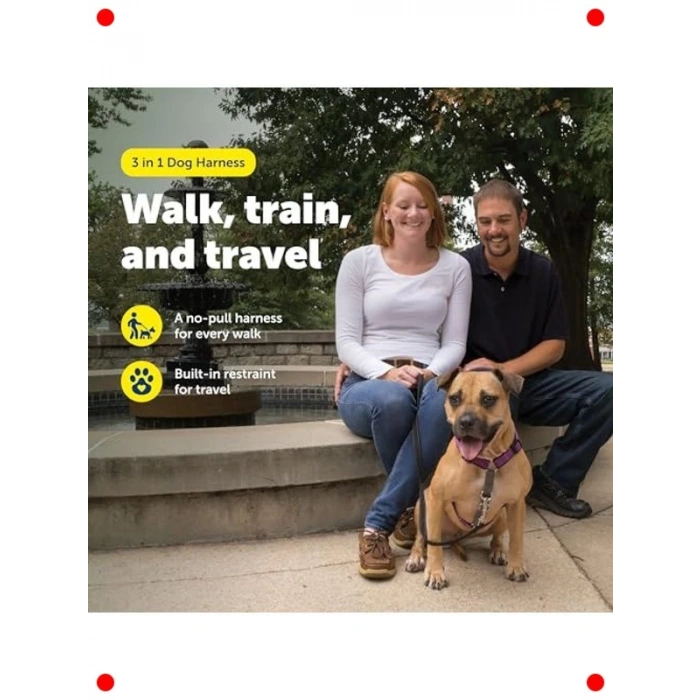 Çok Fonksiyonlu Köpek Koşum Takımı (M Boyut)