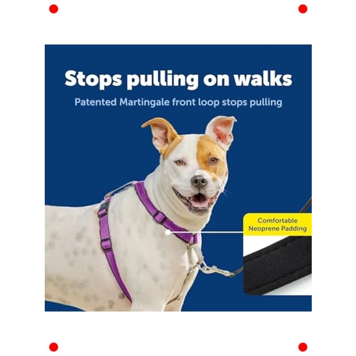 Çok Fonksiyonlu Köpek Koşum Takımı (M Boyut)