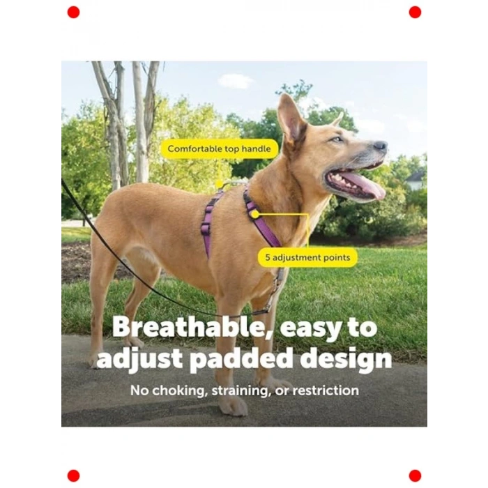 Çok Fonksiyonlu Köpek Koşum Takımı (M Boyut)