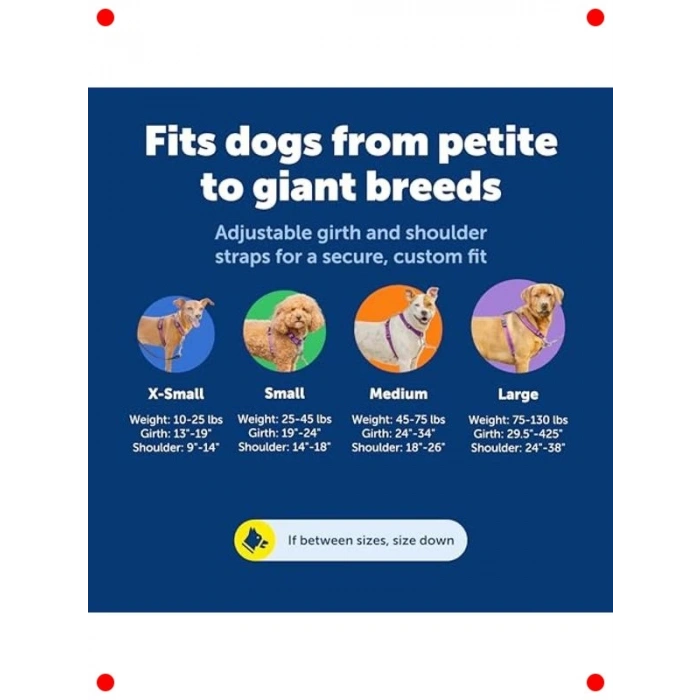 Çok Fonksiyonlu Köpek Koşum Takımı (M Boyut)