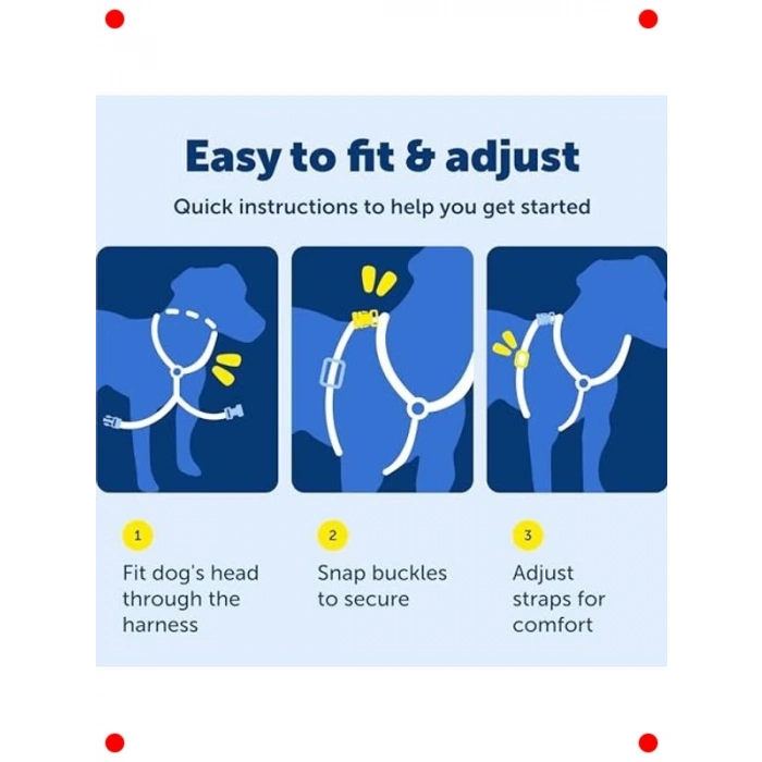 Çok Fonksiyonlu Köpek Koşum Takımı (M Boyut)