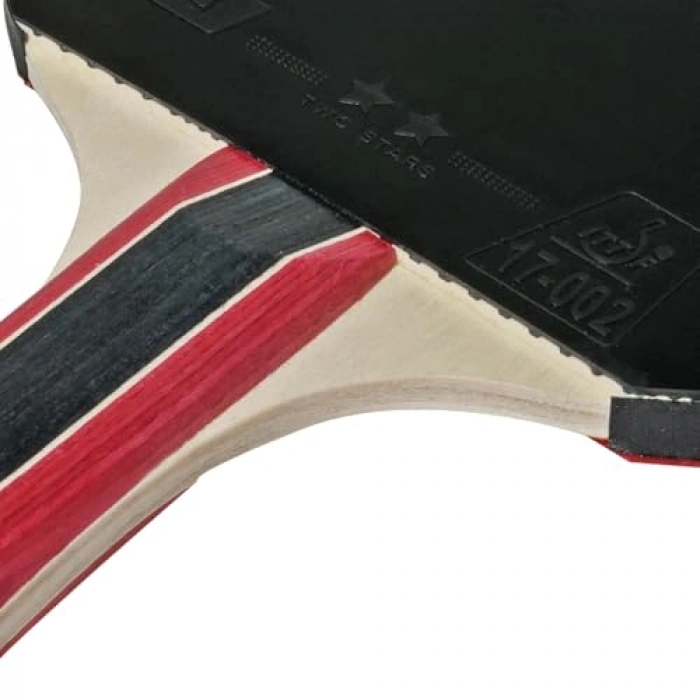 Cornilleau Sport 300 ITTF Onaylı Masa Tenisi Raketi