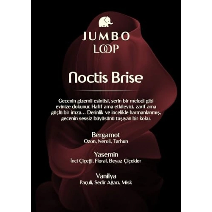 Çubuklu Oda Kokusu, Mat Burgendy Şişede Şık Tasarım