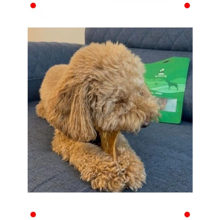 Dana Sinir Çiğnemelik Köpek Ödülü 100 Gr