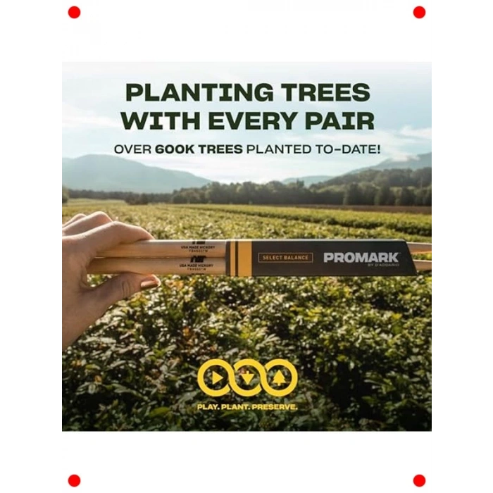 Davul Bagetleri - Sanatçı Serisi Hickory