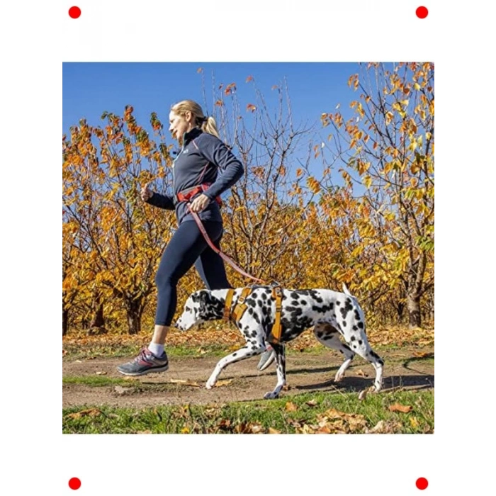 Dayanıklı Dış Mekan Koşum Takımı - Turuncu L