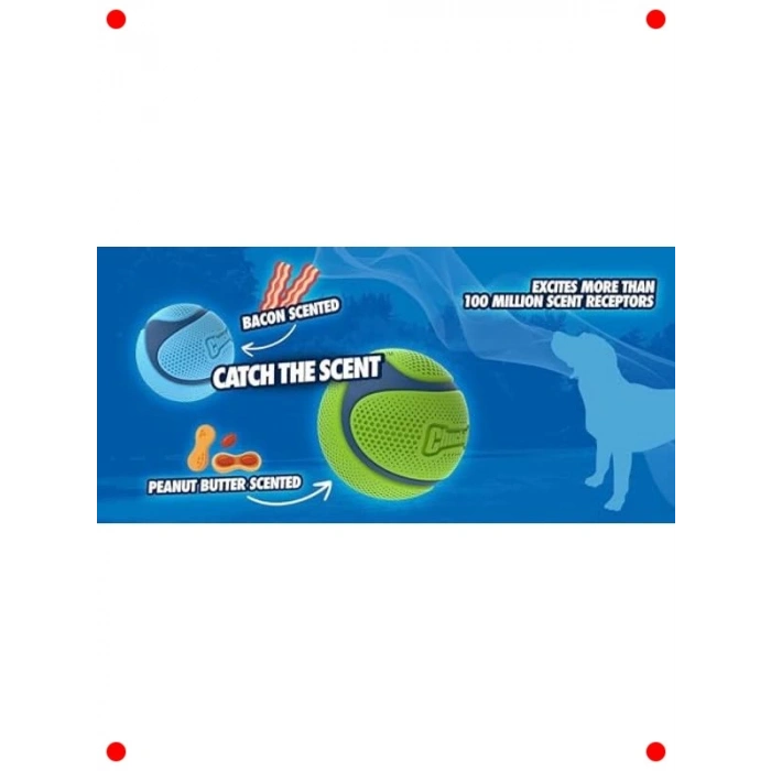 Dayanıklı Fıstık Ezmesi Kokulu Köpek Oyun Topu, Orta