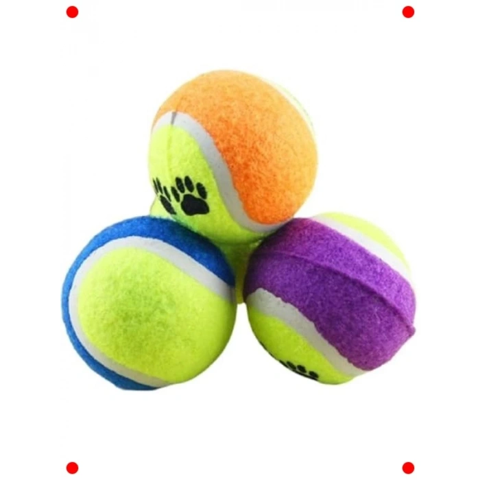 Dayanıklı Köpek Oyun Tenis Topu Seti - 4 Adet