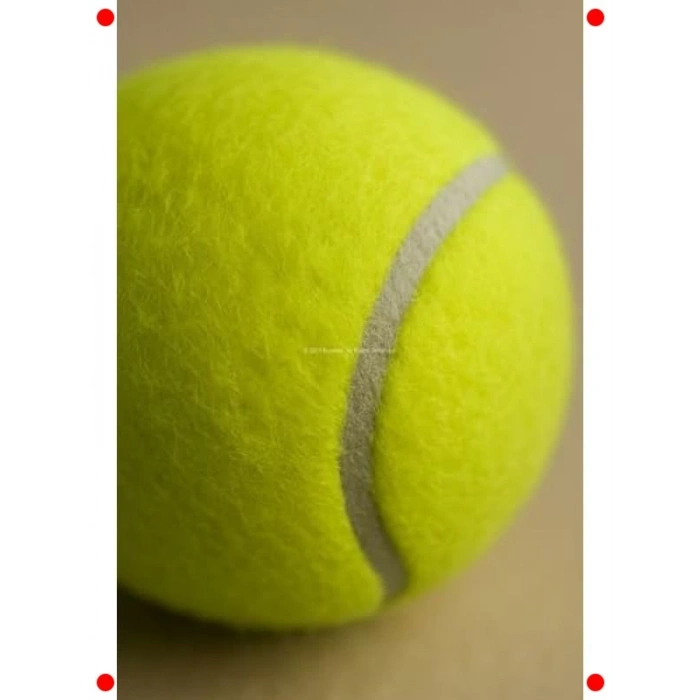 Dayanıklı Köpek Oyun Topu Seti - 2 Adet, 7.5 cm