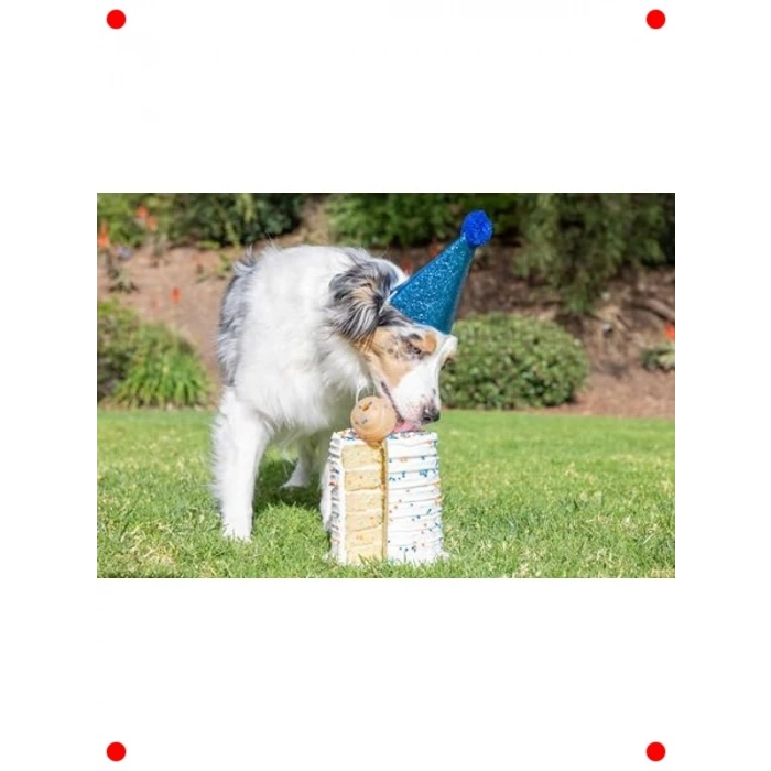 Dayanıklı Yüzen Yüksek Zıplayan Köpek Oyun Topu (6cm)