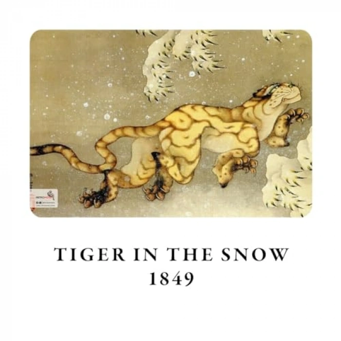 Defter Seti, 4lü Çizgisiz ve Esnek Kapaklı