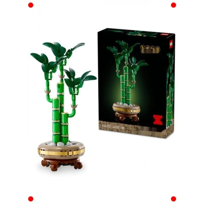 Dekoratif Bambu Bitkisi Yapım Seti - Yetişkinler İçin