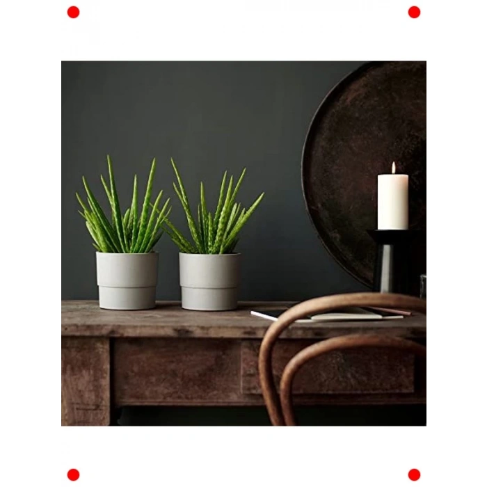 Dekoratif Bitki Saksısı 12 cm Açık Gri