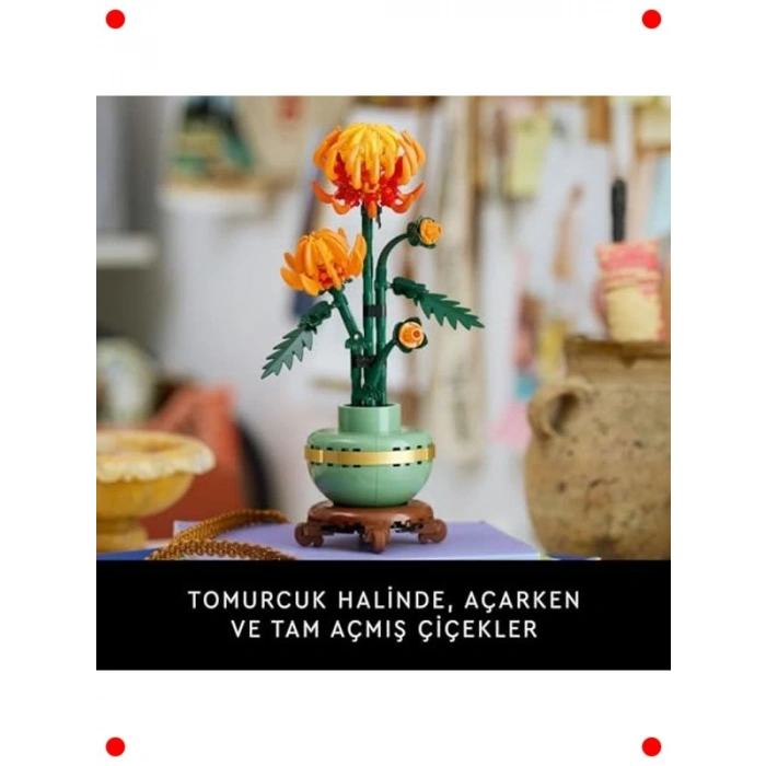 Dekoratif Kasımpatı Çiçeği Yapım Seti - Yetişkinler İçin