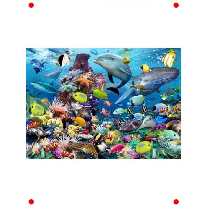 Deniz Mücevherleri 1000 Parça Kaliteli Yapboz