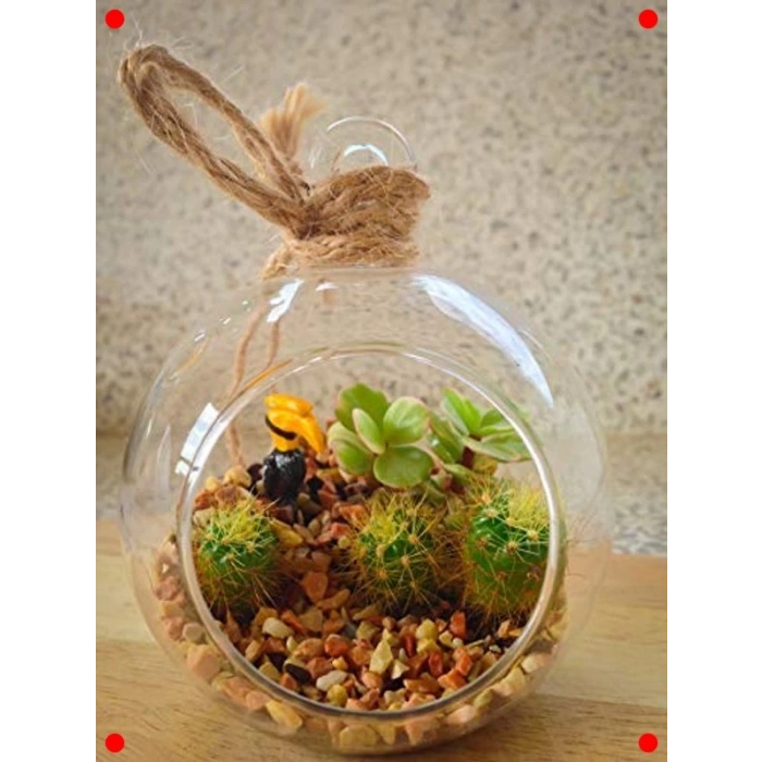 Dere Çakılı Toprak Örtüsü, 2.3 kg