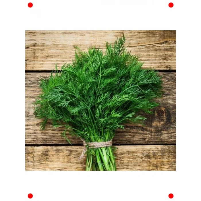 Dereotu Tohumu - 5 Gram