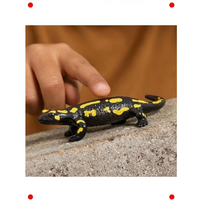 Detaylı Ateş Semenderi Figürü