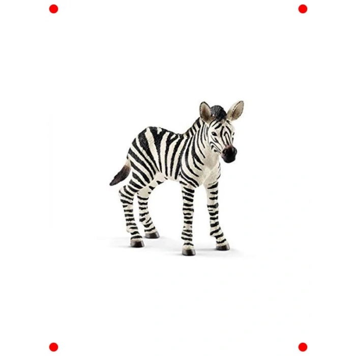 Detaylı Yavru Zebra Figürü