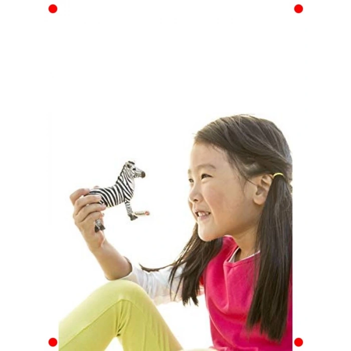 Detaylı Yavru Zebra Figürü