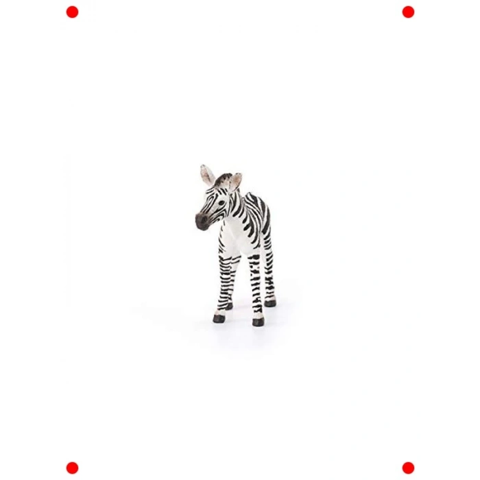 Detaylı Yavru Zebra Figürü