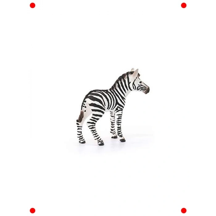 Detaylı Yavru Zebra Figürü