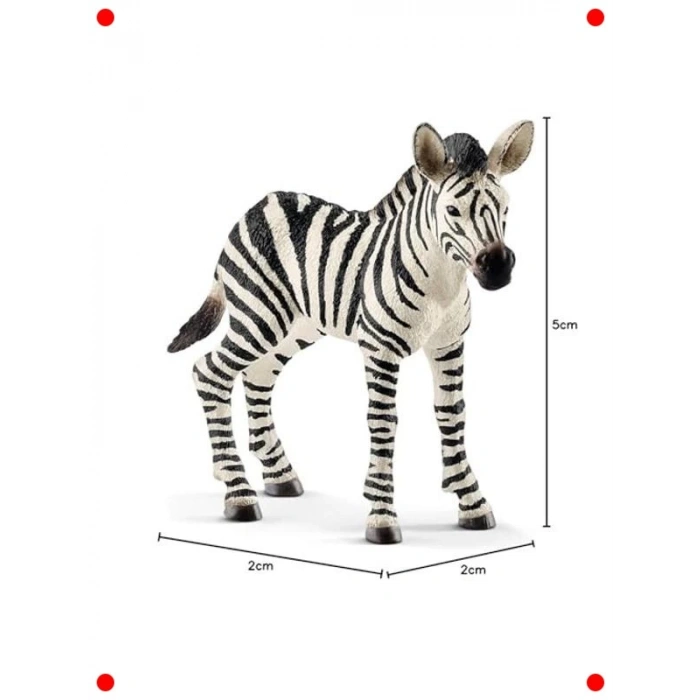 Detaylı Yavru Zebra Figürü