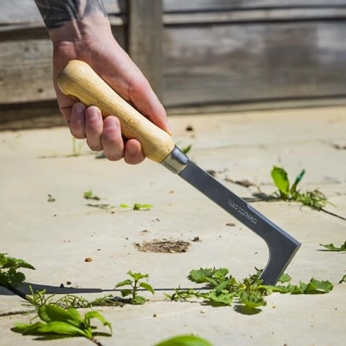 Dişbudak Saplı Paslanmaz Çelik Ayıklama Bıçağı