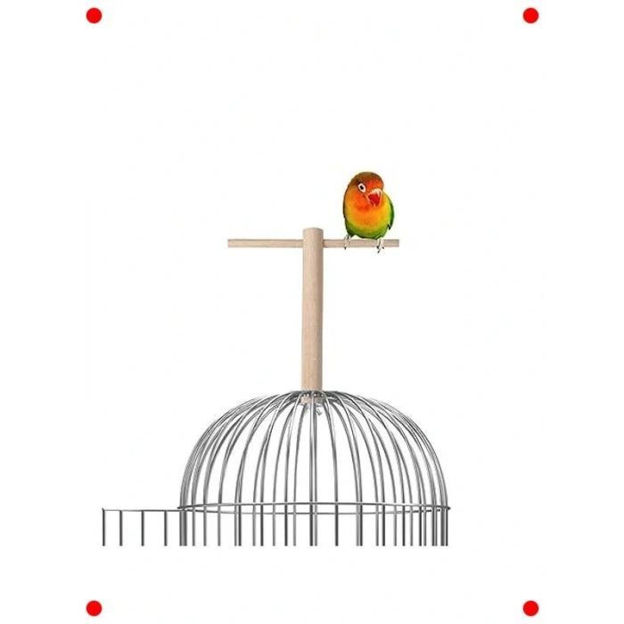 Doğal Ağaç Kuş Tüneği & Parkuru (18 cm)