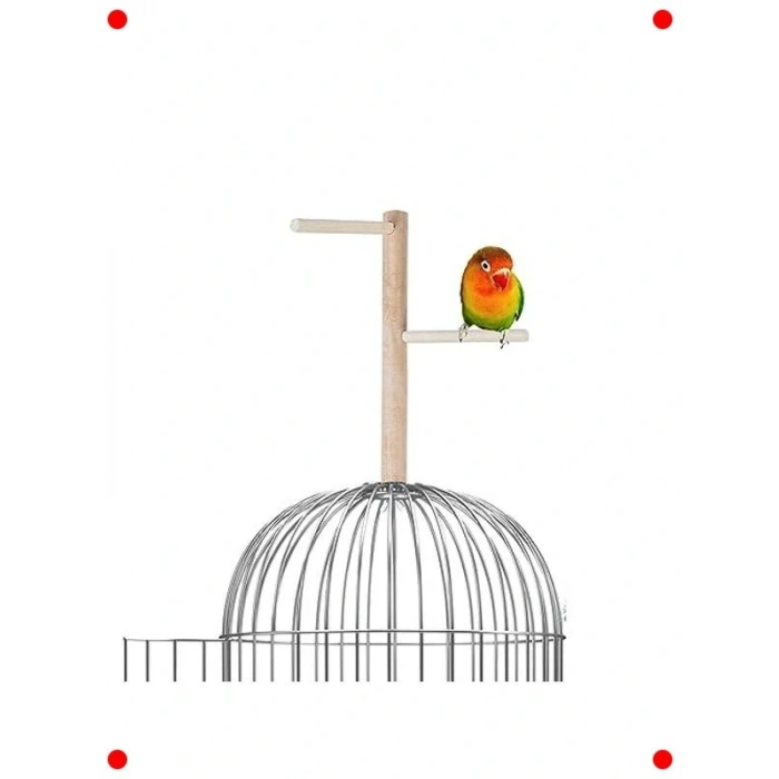 Doğal Ağaç Kuş Tüneği ve Parkuru 23 cm