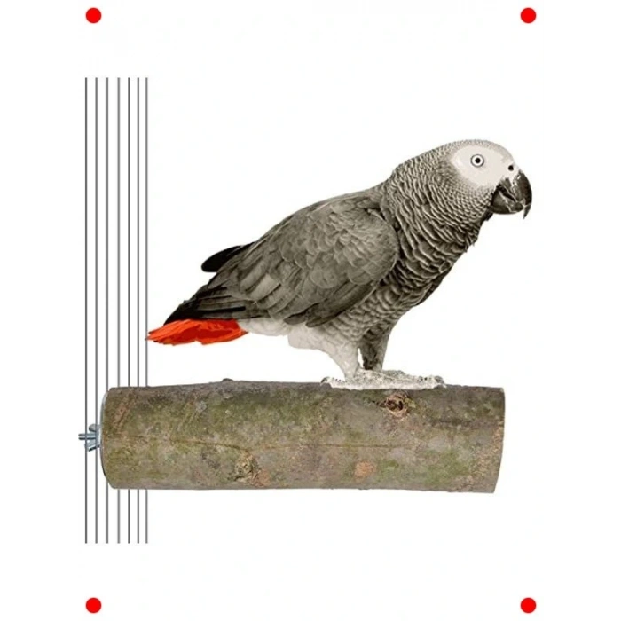 Doğal Ağaç Papağan Tüneği 17 cm