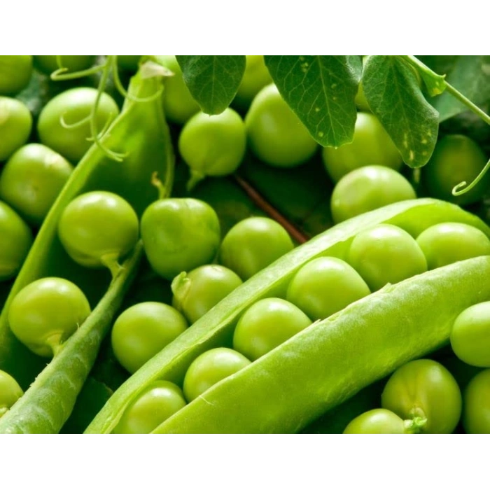 Doğal Bezelye Tohumu, Araka