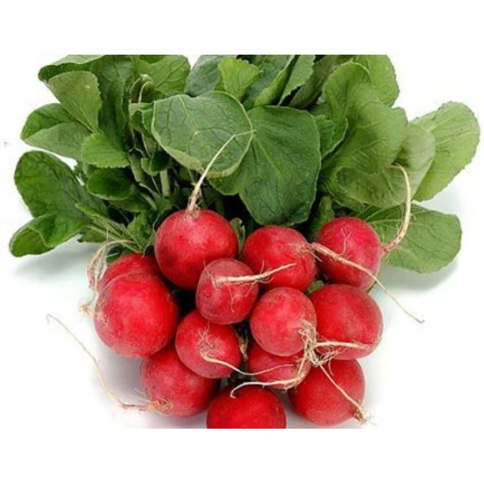 Doğal Cherry Turp Tohumu - Lezzetli Seçenek