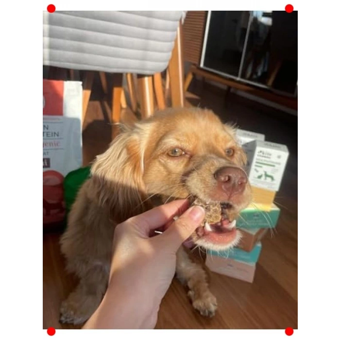 Doğal Dana Akciğer Küp Köpek Ödül Maması - 100 gr