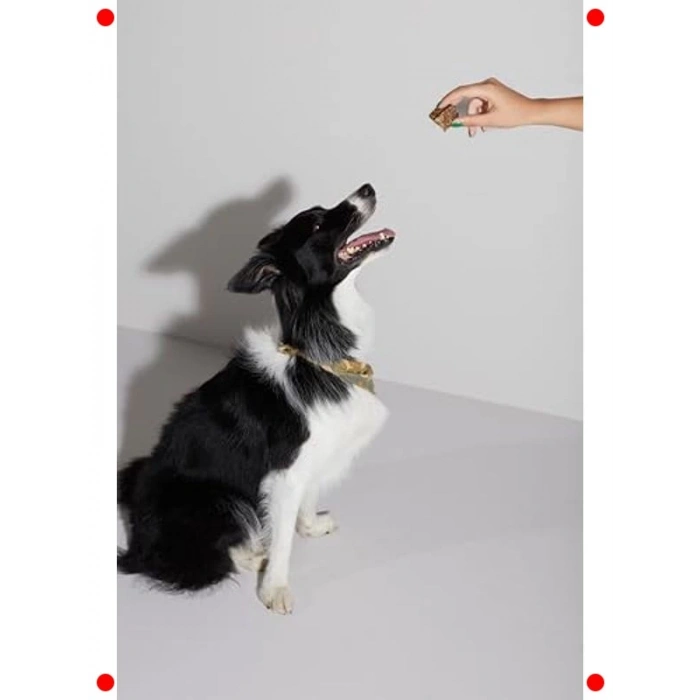 Doğal Dana Akciğer Küp Köpek Ödül Maması - 100 gr