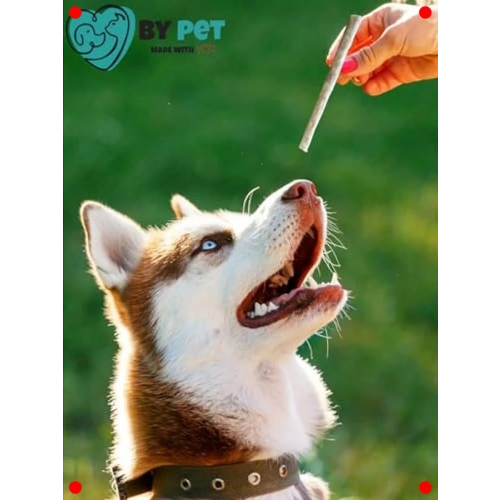 Doğal İşkembeli Köpek Ödül Çubukları (40 Adet)