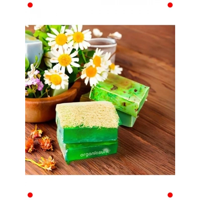 Doğal Kabak Lifli Aloe Vera Sabunu 3lü Set