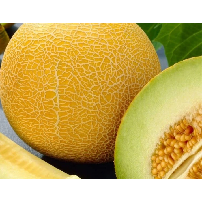 Doğal lia Kavun Tohumu